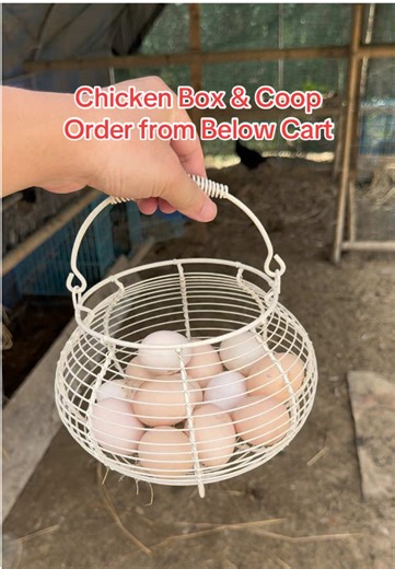 Nesting Box & Large Metal Chicken Coop #chickencoop #metalchickencoop #chickenhouse #chickenvilla #chickenrun #chickenlover #nestingbox #metalnestingbox #nesting #metalnestingboxes