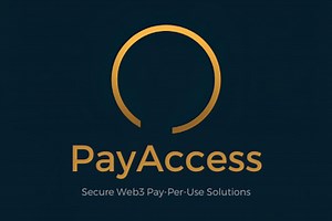 PayAccess(On chain Pay Per Use)