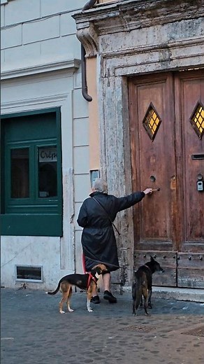 Nonna's Furry Companions: Heartwarming Moments with Grandma and Her Dogs 👵🐕‍🦺 #Dog #Dogs #DogLover