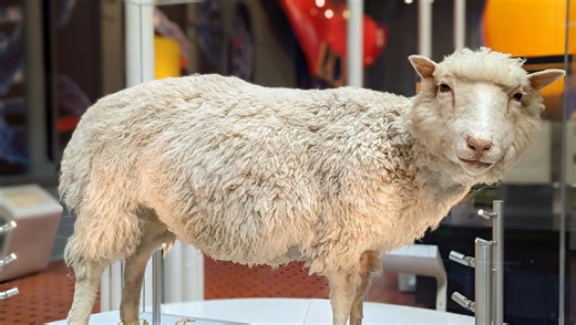 Humans First Cloned A Mammal Back In 1996