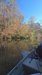 Riding along the river banks and taking in the scenery while catching a few crappies🎣🎣🎣 #riverbank #fishing #therapy #fatherandson #peace #thankful | Father And Son Fishing