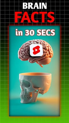 Facts that will blow your mind! 🤯