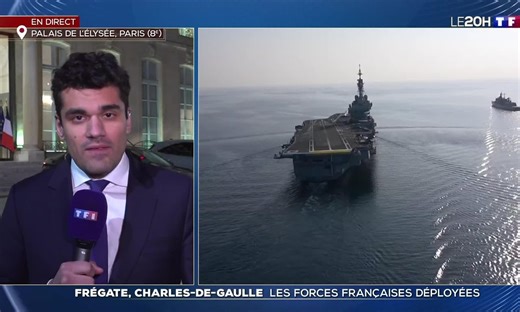 Frégate, Charles-de-Gaulle : les forces françaises déployées