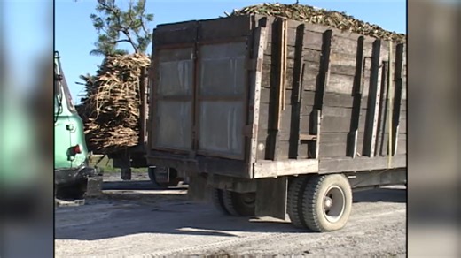 6.5K views · 84 reactions | Attorney Says G.O.B.’s Attempt to...