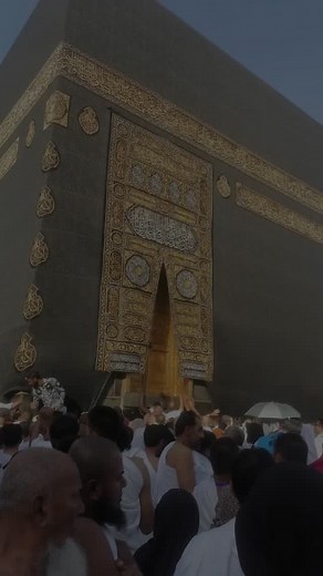 Humera Azhar on Reels