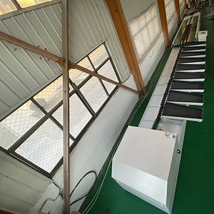 [Hot Item] Intelligent Weight & Color Sorting Machine for Fruits