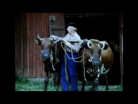 Filmer med gamla arbetsmetoder inom lantbruket