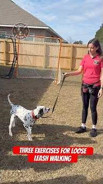 Three Exercises for Loose Leash Walking