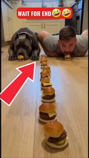 Try not to laugh impossible reaction video #funny