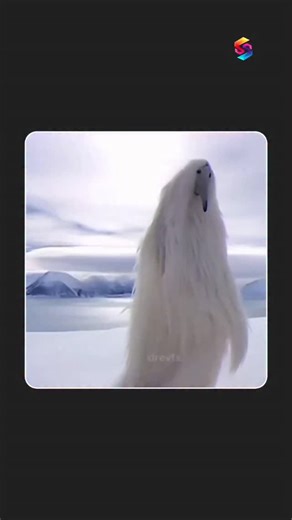 SS Knowledge TV | Antarctica’s Blood Water! This viral video captures a shocking phenomenon from Antarctica that looks straight out of a horror movie. A... | Instagram