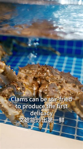 176 reactions | Nantong isn’t just about exams and textiles — it’s where the Jiangsu Football City League hits full throttle. With over 650,000 fans competing online for tickets and 20,000 seats ready at Nantong Football Training Center Haimen Base, this city is turning football into a full-blown celebration. See you in Nantong! ⚽ Video Credit: ©濠滨网 #JiangsuFootballCityLeague | Visit Jiangsu | Facebook