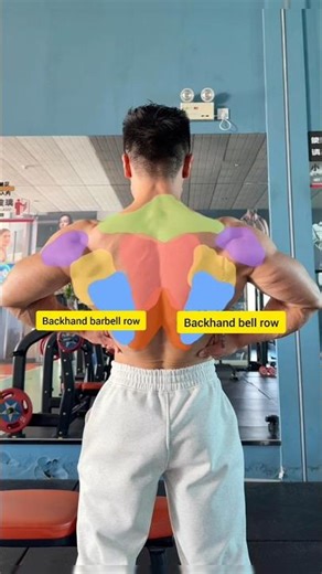 Only 2 Exercises for a Full Back Blast 💣 #shorts #youtubeshorts #fitness #gym #backworkout