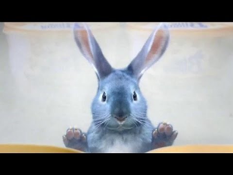 Blue Bunny Ice Cream Commercial 2016