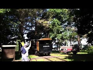 Bear Harbor locomotive #1, Switching Falk #1