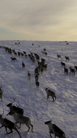 Drone Views: The Tundra's Majestic Ice Canvas.