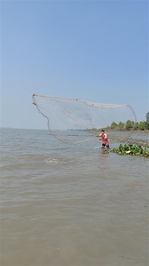 জাল দিয়ে ধরা বিশাল মাছ #foryou #shortvideo #reels #fishing #shorts #bigfish