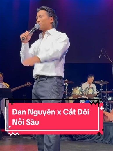 Đan Nguyên - Cắt Đôi Nỗi Sầu: Nhạc Hay Đáng Nghe