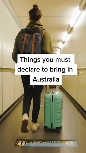 What to Declare When Bringing Items to Australia