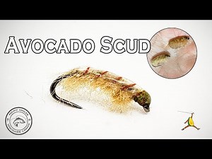 How to Tie The Avocado Scud Pattern // Pacific Angler Fly Tying