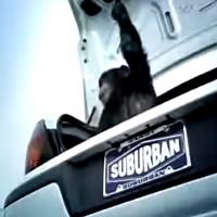 Trunk Monkey Alien Abduction