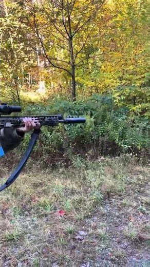 Sig MCX quieter than pellet rifle