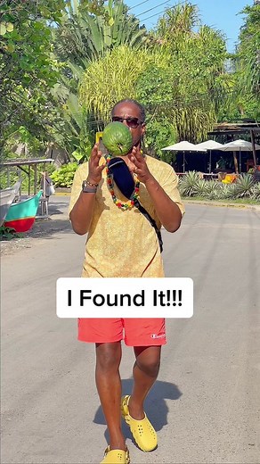 The search for soursop was worth it! Found some of these amazing tropical fruits today. Did you know soursop is packed with vitamin C and fiber? What should I make with them? Smoothie, ice cream or something else? Let me know in the comments below! #soursop #tropicalfruit #antioxidants #yum