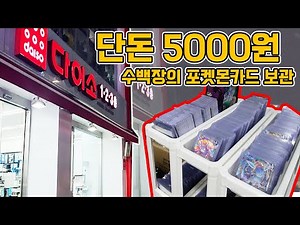 단돈 5000원! 다이소 추천 포켓몬카드 꿀템~ 수백장의 카드 수납가능? [장덕대]