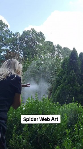 Creating Beautiful Spider Web Art: My First Attempt