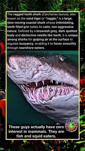 The Ocean’s Friendliest Villain