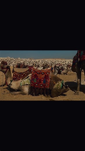 Explore the Wonders of Giza Pyramids