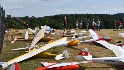 „Segler Classics“: Rund 80 Oldtimer-Modellpiloten fliegen über Wildberg