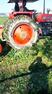 45K views · 560 reactions | #potatofarming #potatoes #potato #potatorate #potatoboli #aalopatai | Showkat Watto | Facebook