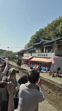 香取神宮 鏑流馬 #香取神宮#鏑流馬#式年大祭奉祝#弓馬#小笠原流#神社巡り