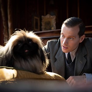 29K views · 52 reactions | Prepara las provisiones para el fin de semana. No te podrás despegar de @AcornTVLATAM. Estrenamos All Creatures Great And Small.​ Esta serie es perfecta para animar hasta al más malhumorado. Lo tiene todo: ternura, risas, amor y los animales más bonitos y traviesos del condado de Yorkshire Dales. Ya disponible en ➡️ https://acorn.tv/ | AcornTVLATAM | Facebook