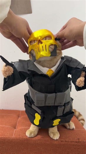 Red Cat Head armor gun chest backpack and flower#Delta Operation#cat#Tuo Zhu#3D printer#Tu