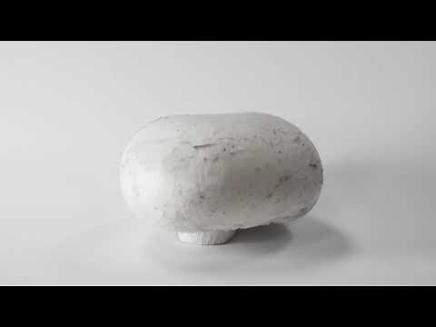 How fast do mushrooms grow? | Produce Made Simple