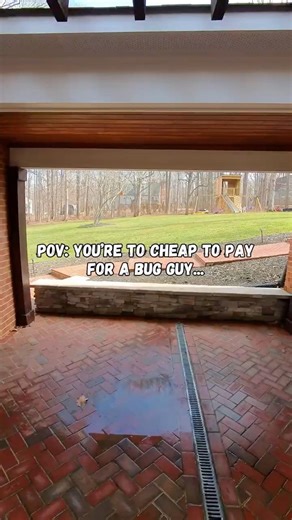 A little DIY pest control using professional grade products! #diy #pestcontrol