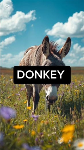 Animals Starting with D 🦌🐬 | A2Z Explorium | Fun Facts for Kids & Shorts