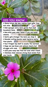 216K views · 1.6K reactions |  Kitchen Science Secrets #KitchenHacks #FoodFacts #DidYouKnow | Must Watch Reels | Facebook