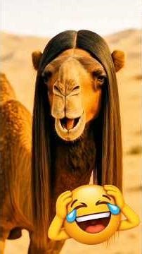 5 Animals Built Different With Their Hair #Wildlife #Shorts