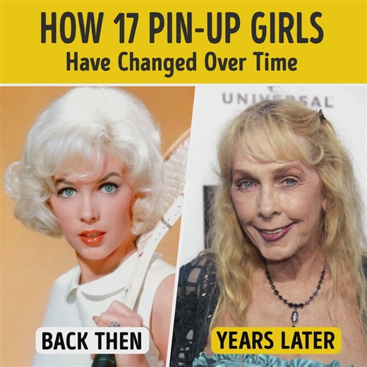 104K views · 291 reactions | How 17 Pin-Up Girls Have Changed Over Time | Smart is the New Sexy | Facebook