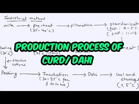 Production process of curd || Food Microbiology