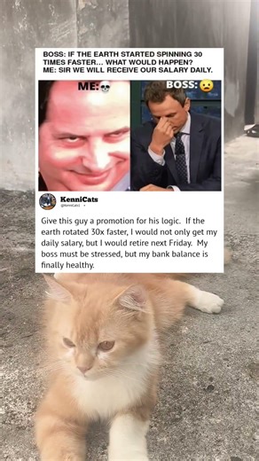 Give this guy a promotion for his logic