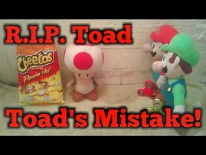 Toad's Mistake! (Gone Wrong)