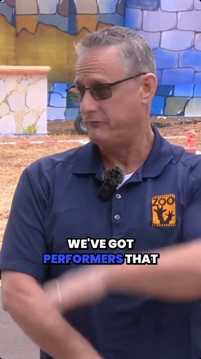 In last week's episode of What's New at the Zoo, hosts Stefanie Miller and Jim Bartoo took a look at what visitors can expect this year at the 2025 Zoolumination exhibit. Want to watch the full show? Tap the link or visit our YouTube channel to watch all episodes https://buff.ly/BXdsxn8 ✅ . . #WhatsNewattheZoo #MainStreetMediaofTN #NashvilleTN #NashvilleZoo #Zoolumination2025 #MiddleTN #WinterSeason | Main Street Media TV