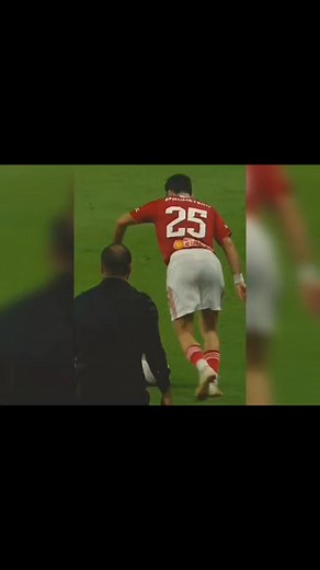 6.1K views · 96 reactions | Al Ahly Fans 74 on Reels | Facebook