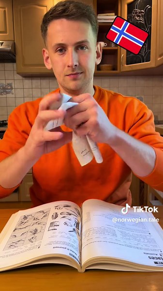 Essential Norwegian Verbs for Language Learning