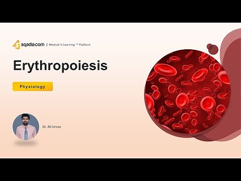 Erythropoiesis | Introduction | Human Physiology Video | Medical Student V-Learning™