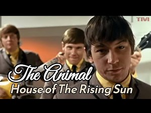 Soft Rock - House of The Rising Sun - Song, Music and Lyrics - The Animals