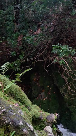 Waterfall woods  | R&R The Corner Shop | Facebook